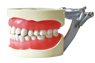 Standard Model - TM-A8 - TM-A8